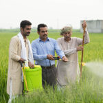 pest control services in Lahore