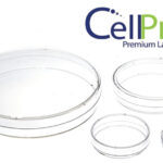 cell culture dish sizes