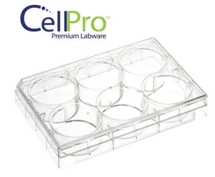 12 well cell culture plate