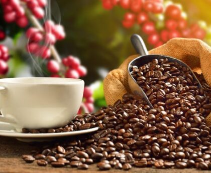 Buy Coffee Beans Online Australia