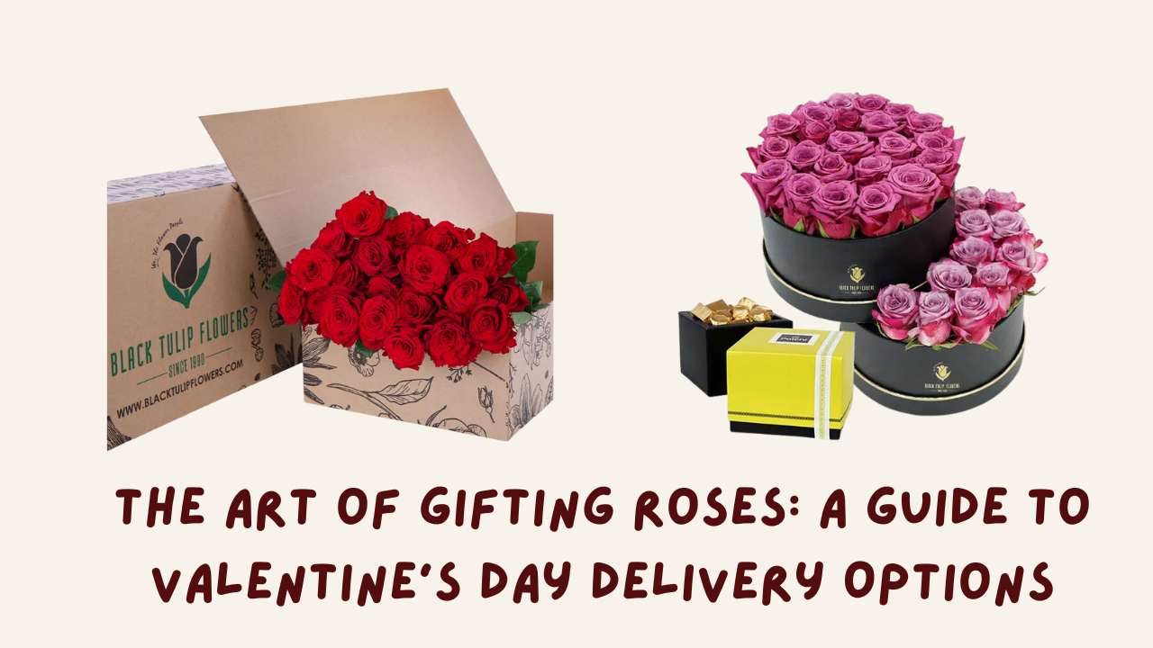 The Art of Gifting Roses A Guide to Valentine's Day Delivery Options