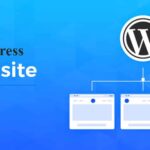 WordPress multisite vs multisite websites