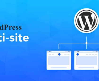 WordPress multisite vs multisite websites